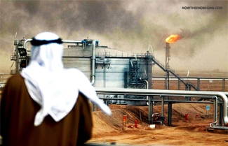 ОПЕК отвергла предложение России о сокращении добычи нефти