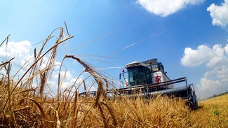 Турция ввела крупные пошлины на поставки российского зерна