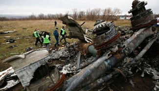 Россию в принципе не устраивает идея создания трибунала по MH17