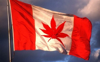 В Канаде собираются легализовать марихуану