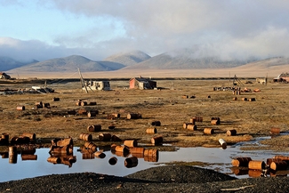 Ведущего арктического биолога уволили после критики госполитики в регионе