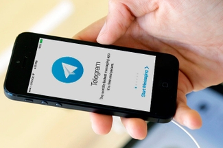 Начинающие единороссы просят власти вмешаться в работу Telegram