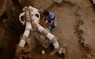 В Мексике нашли скелет расчлененного древними людьми мамонта