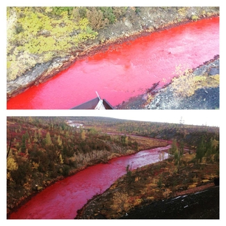 Под Норильском река окрасилась в красный цвет от загрязнений