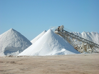 Россия внесла соль в список санкционных продуктов 