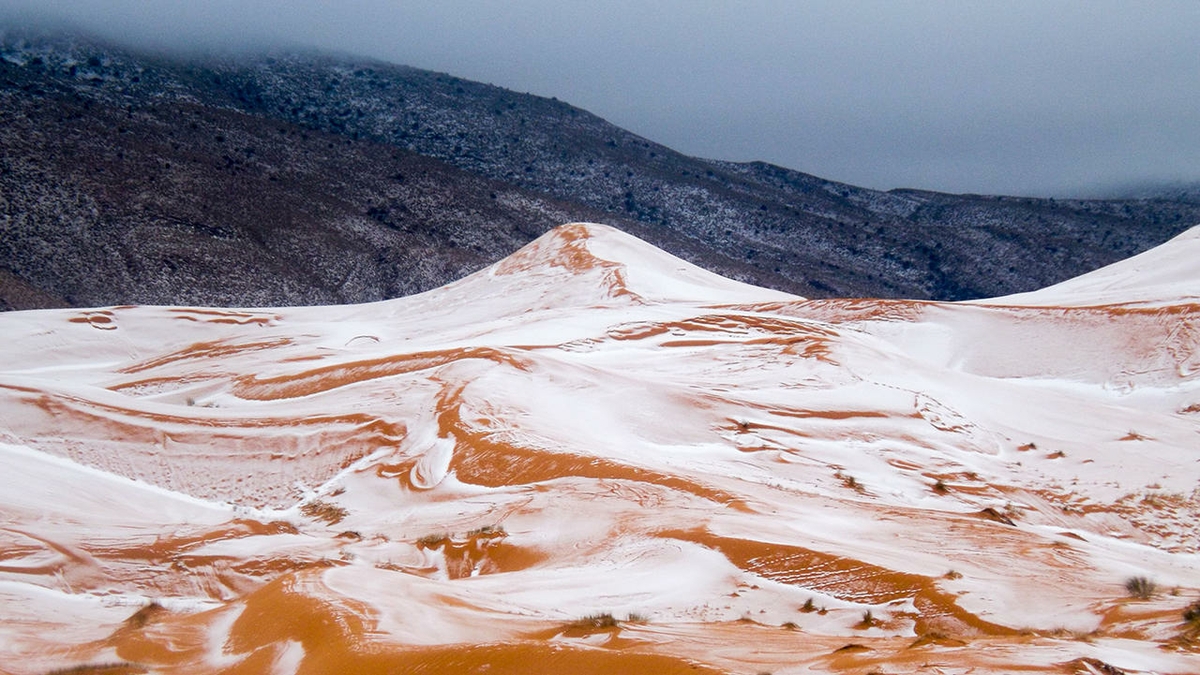 Фото дня: Снег в Сахаре