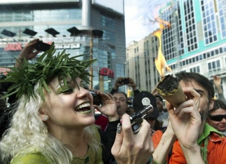В Нидерландах поддержали легализацию выращивания марихуаны