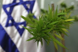 В Израиле декриминализовали употребление марихуаны