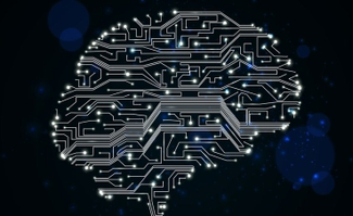 Илон Маск намерен соединить человеческий мозг с компьютером