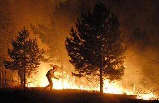 Площадь лесных пожаров на Дальнем Востоке увеличилась в шесть раз за день
